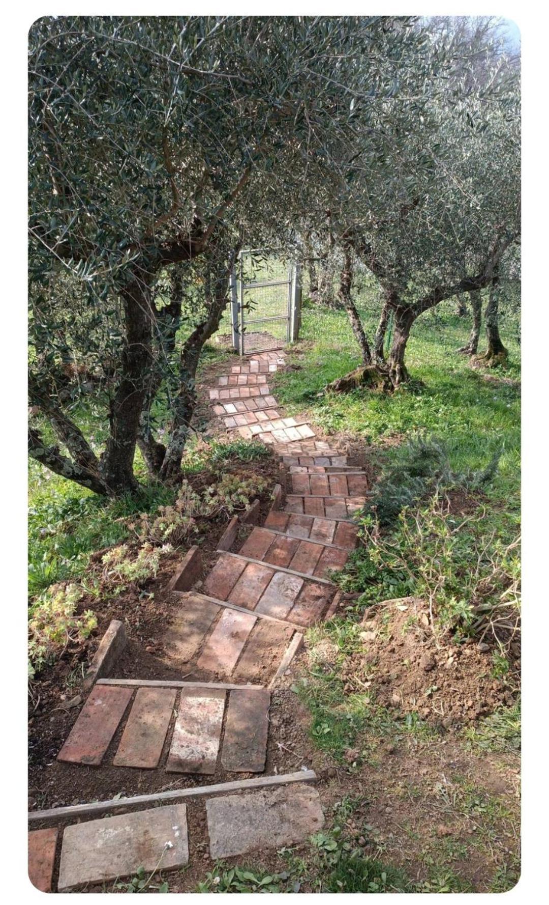 בית הארחה Matraia 	La Stanza Del Sole מראה חיצוני תמונה